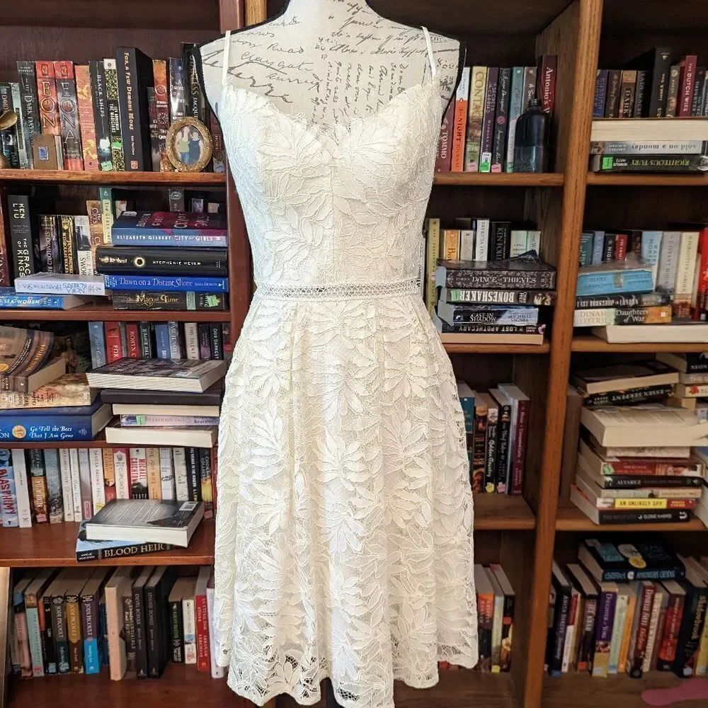 𝅺watters&watters ivory lace short a line v neck spaghetti strap sz 2 dress nwot